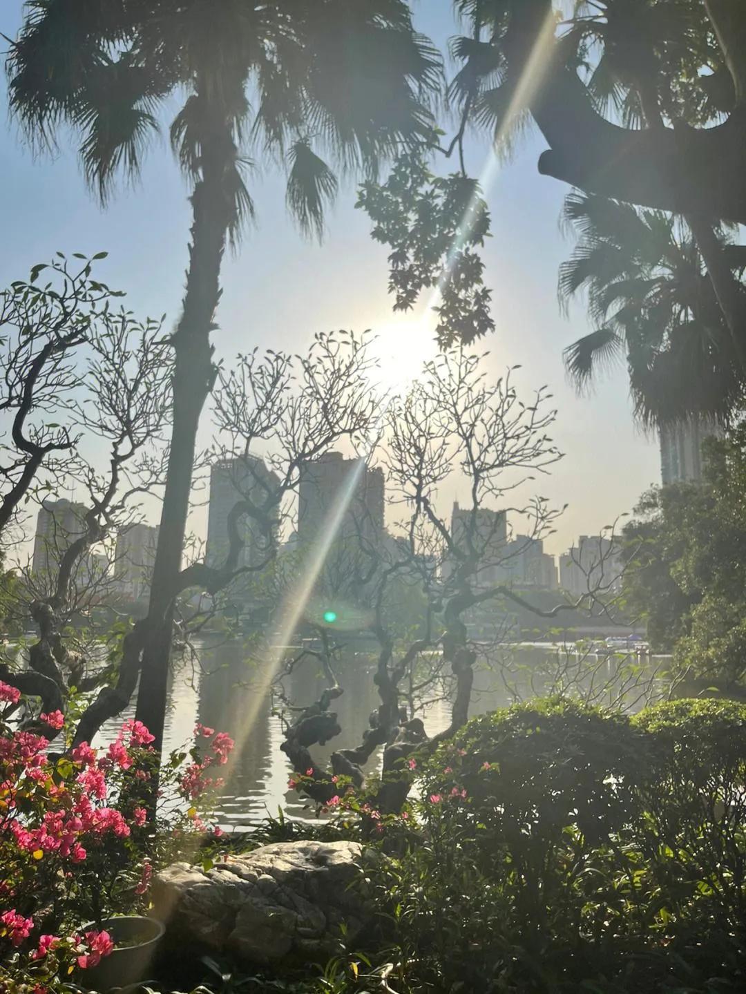 广州有什么免费游玩景点推荐,广州旅游哪个景点比较好免费的