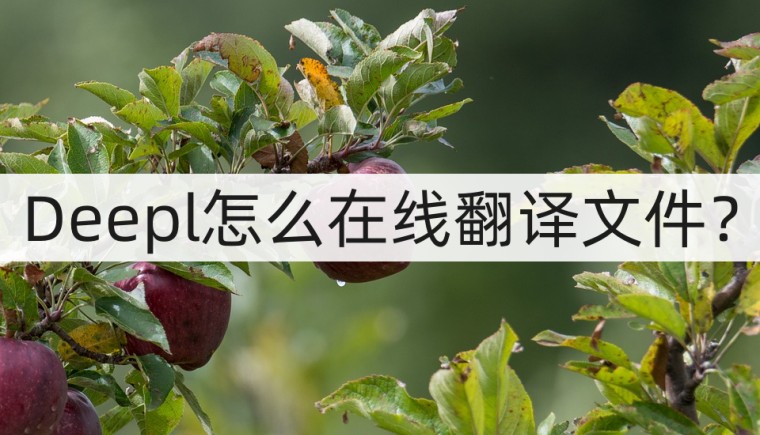 deepl翻译可以离线用么,deepl翻译器可以翻译论文吗