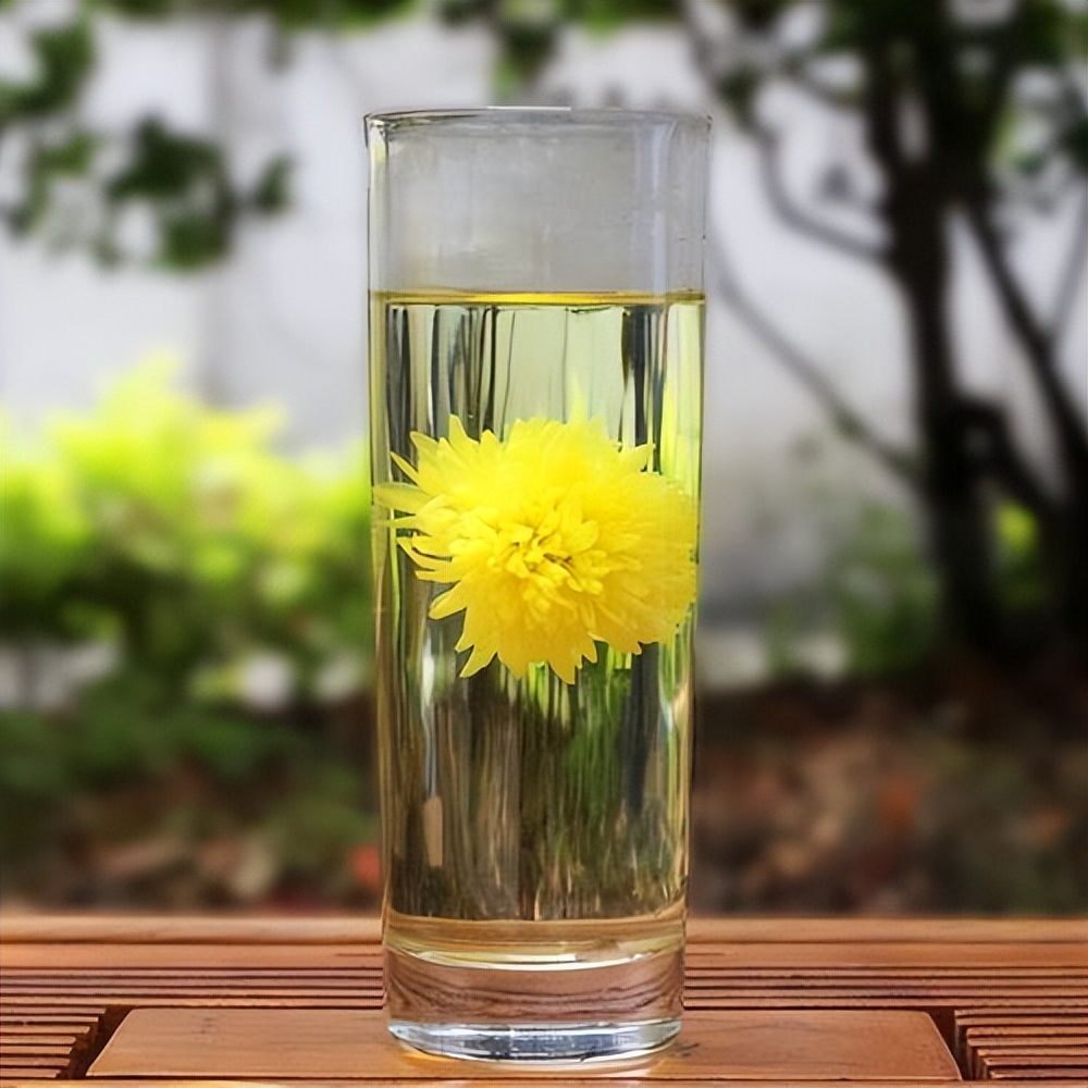 有几种人不适合喝菊花茶,什么人不适宜喝菊花茶