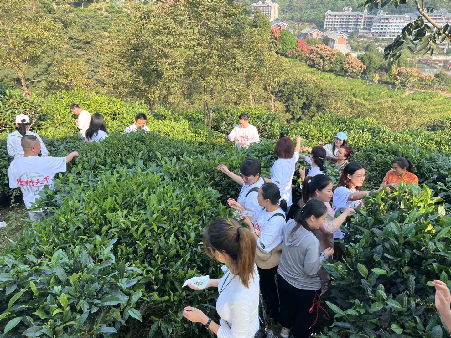 六祖惠能真实感悟,六祖惠能故居视频