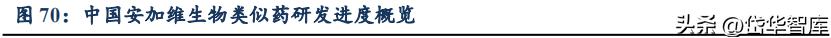 有效避开内卷，迈威生物：ADC锋芒初显，快速成长的Biopharma