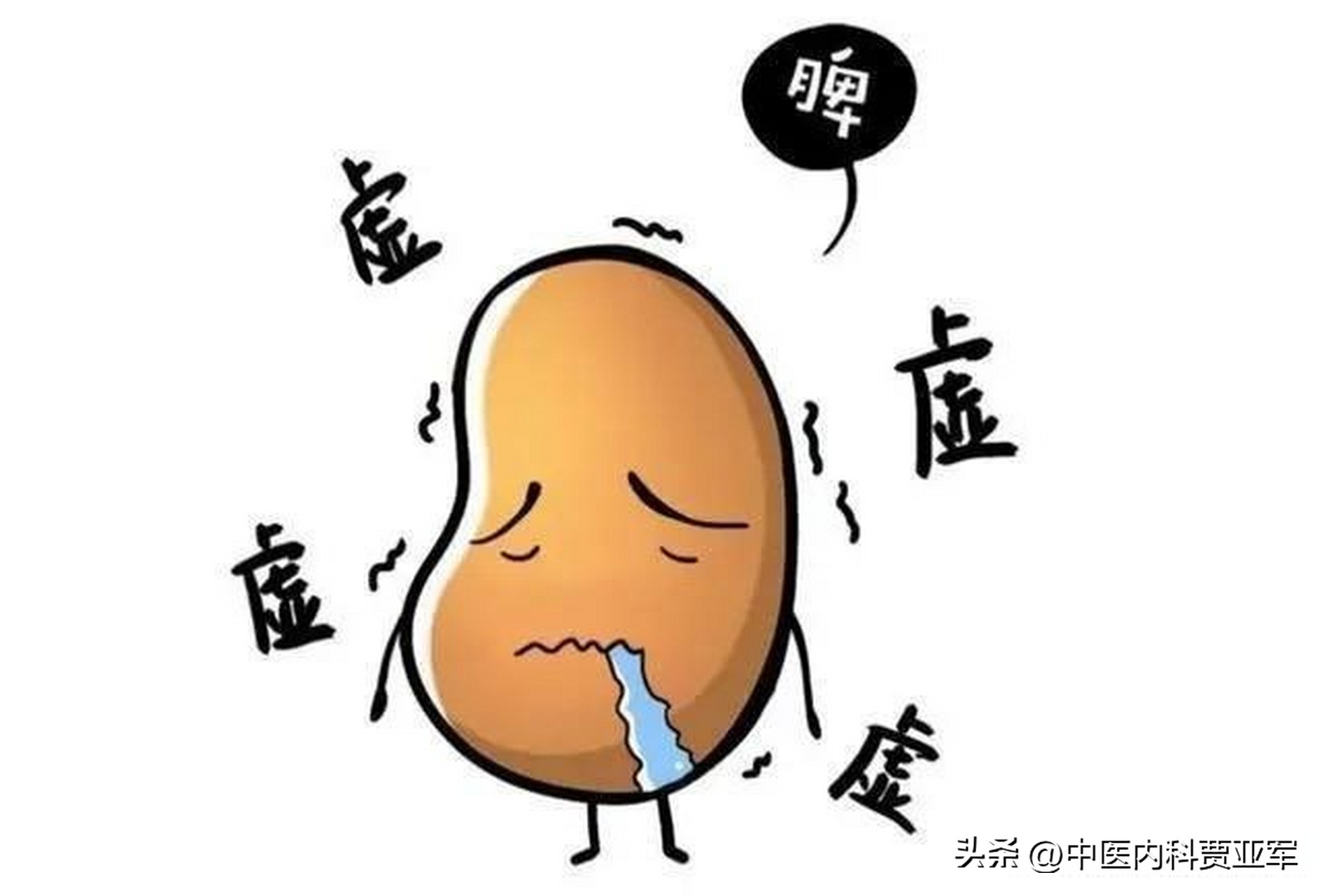 脾虚肾虚肝虚体质差怎么调理,肝虚手麻肾虚手抖吃什么中成药