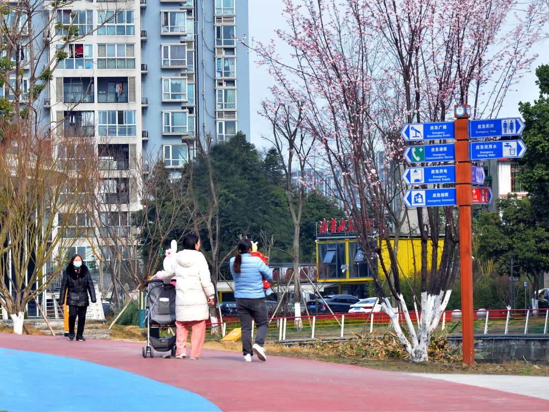 鏂囨槑鍏歌寖鍒涙剰鐭墖,鏂囨槑妤锋ā