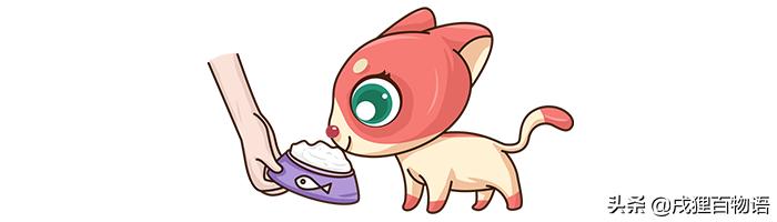 猫咪不能吃咸的说法对吗,猫咪不能吃羊油吗