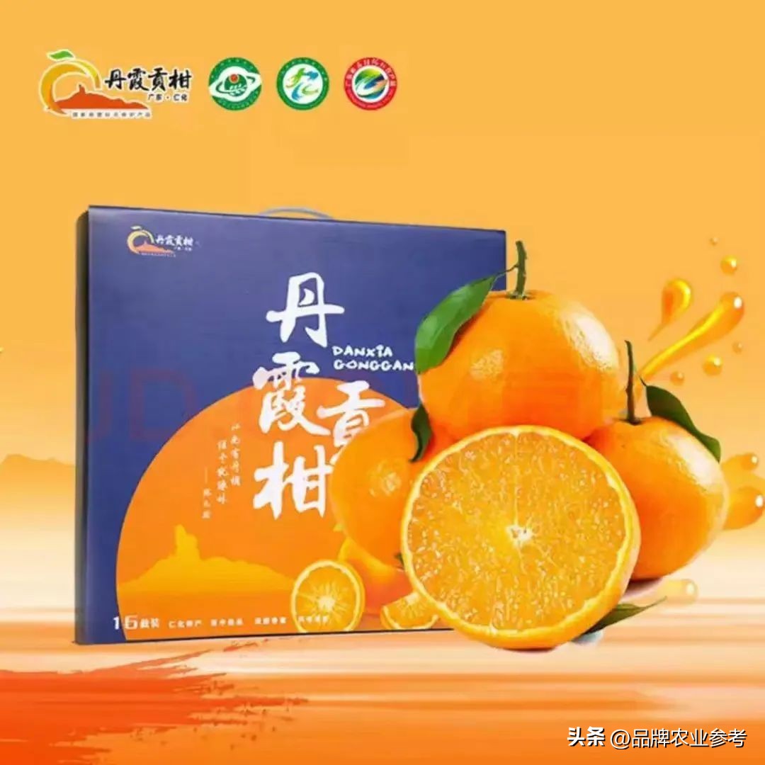 农参专访丨刘湘林：果子也能成股金！丹霞贡柑创新入股模式