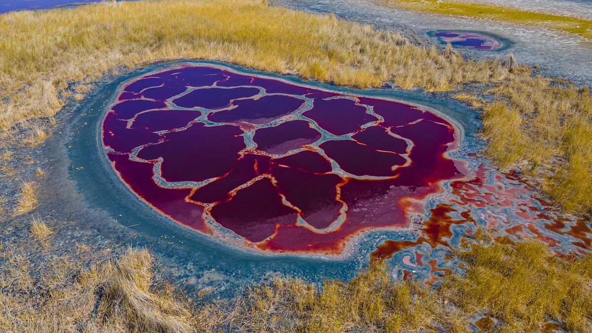 阿拉善旅游攻略必玩的景点地图,内蒙古阿拉善游玩攻略