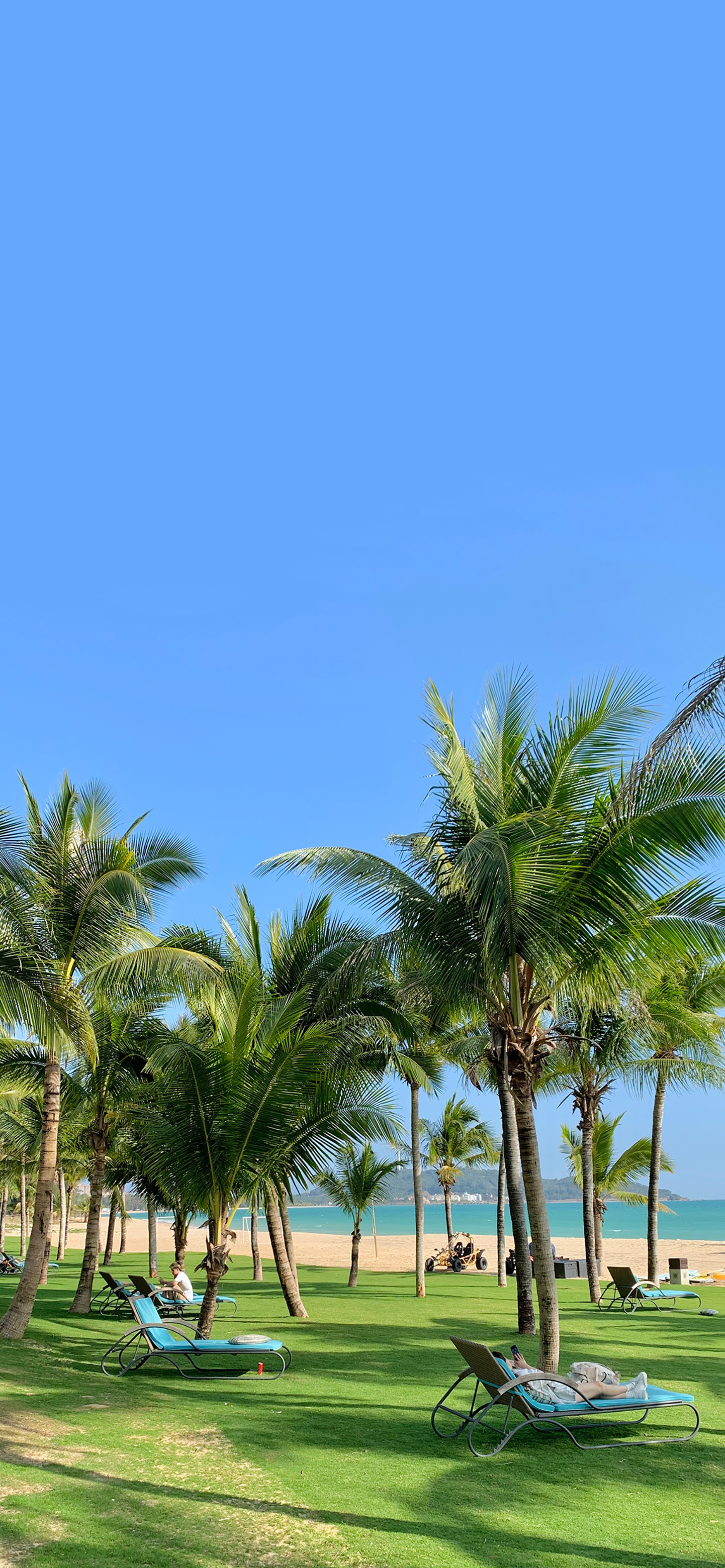 风景壁纸春,春天有百花秋有凉风冬有雪壁纸