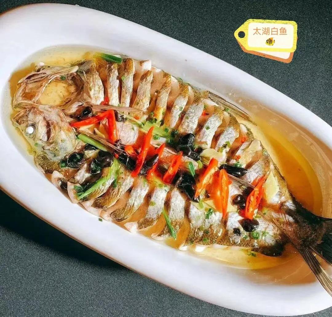 苏州太湖旅游度假区,苏州太湖假日酒店