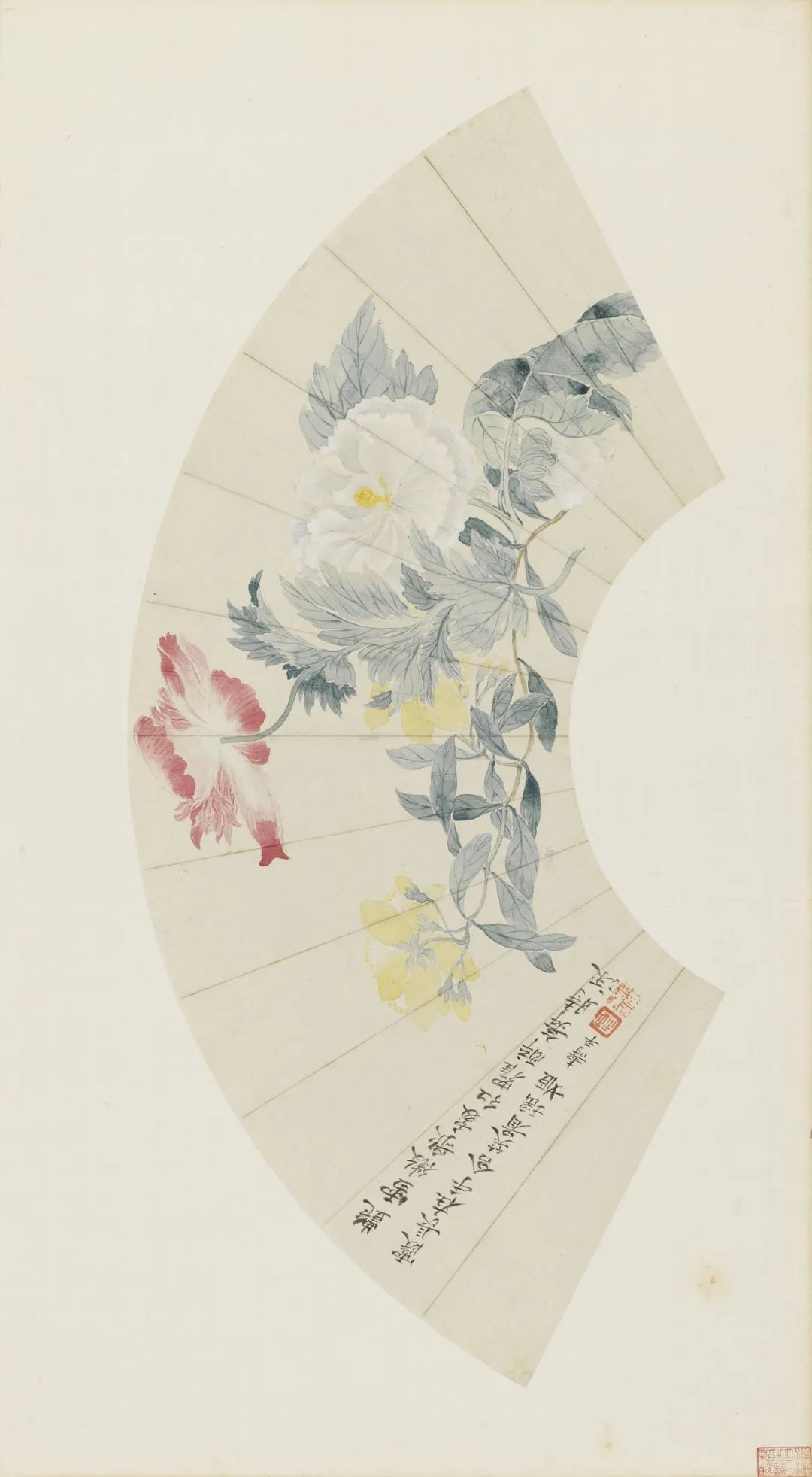 慕容看世界的视频,慕容看世界所有视频