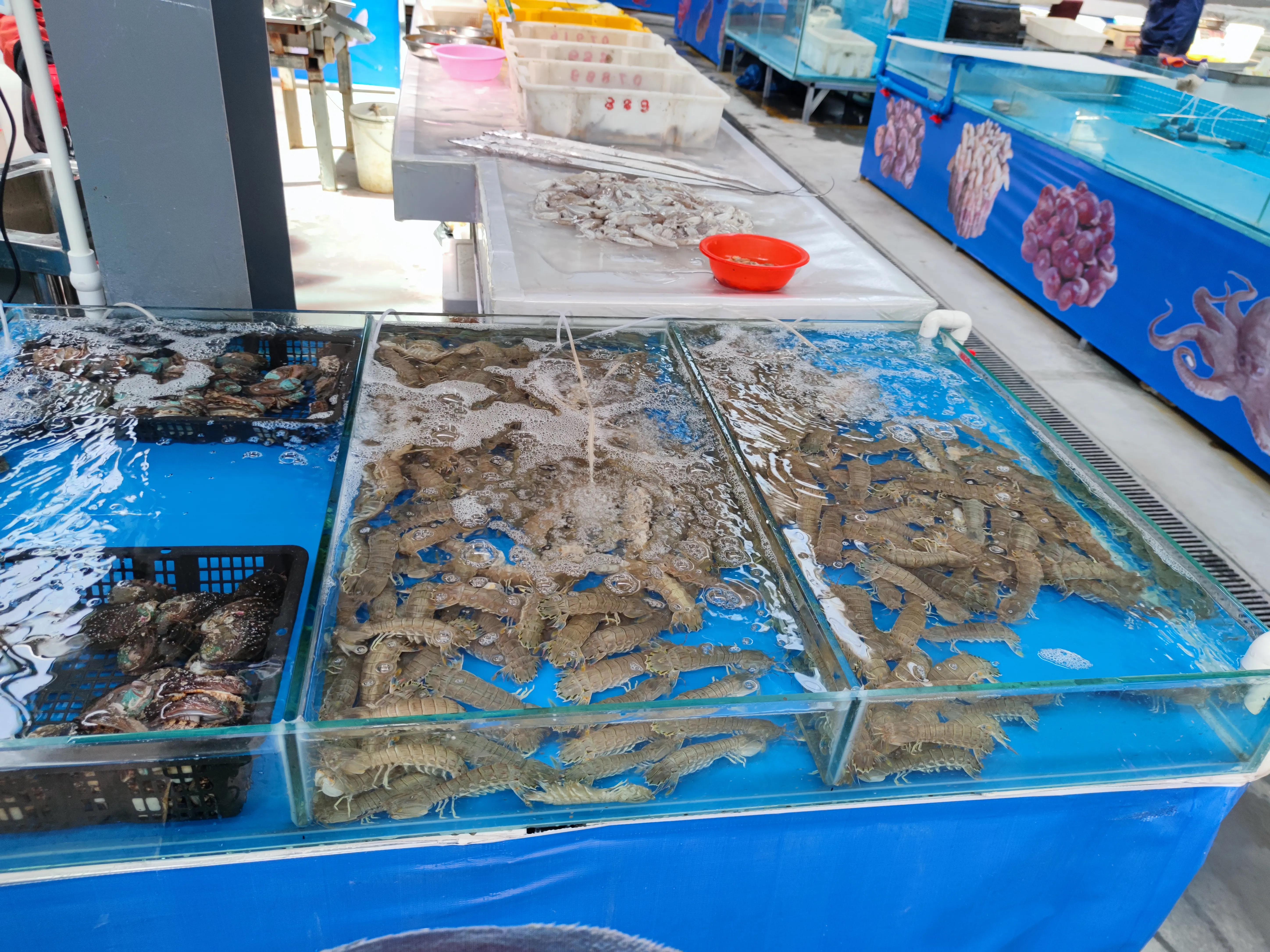 海鲜鲍鱼小龙虾还有哪些,海鲜龙虾帝王蟹鲍鱼