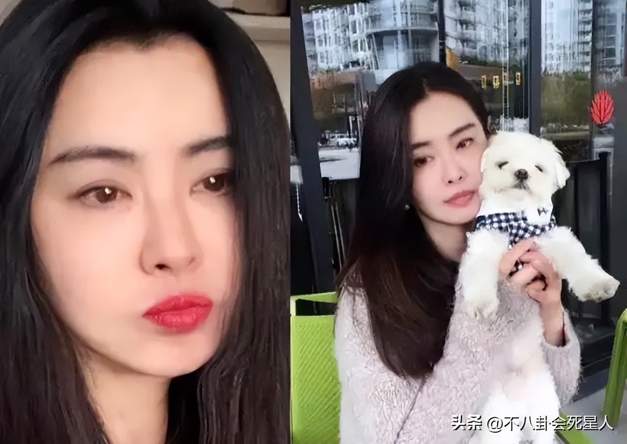 8位老牌明星晚年回归普通人生活,5位移居国外明星现状