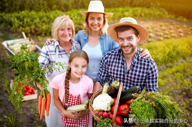 新型家庭农场的致富路,家庭农场的发展红利又将迎来高潮