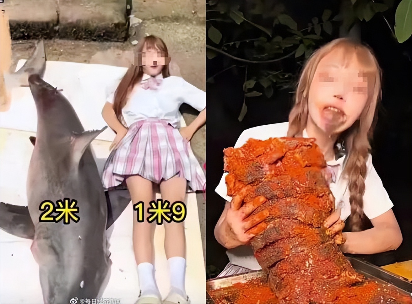 拔了价值1块五的高原莲花,险些被牢底坐穿!这种草为啥不能摘?