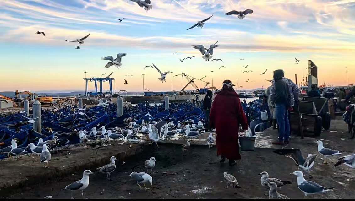 海伦堡地产现状分析,海伦堡2021会违约吗