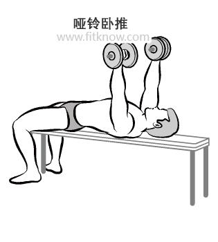 哑铃是公认的健身神器,健身基础器材哑铃