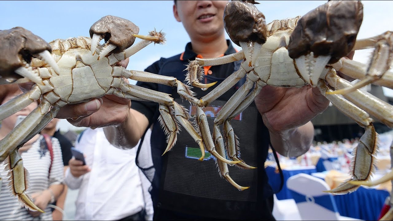 阳澄湖大闸蟹凭什么卖那么贵,阳澄湖每年能产多少只大闸蟹