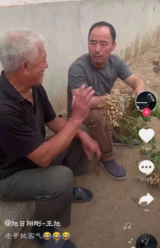 不婚、接廉价商演、走穴…一首歌唱一辈子的老牌歌星，现状各不同