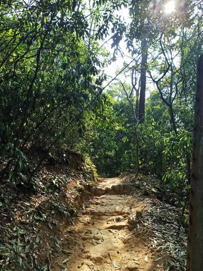 白云山适合徒步吗,一路徒步上白云山