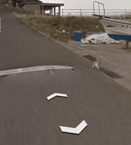 谷歌地图的狗狗,谷歌地图六条腿的狗