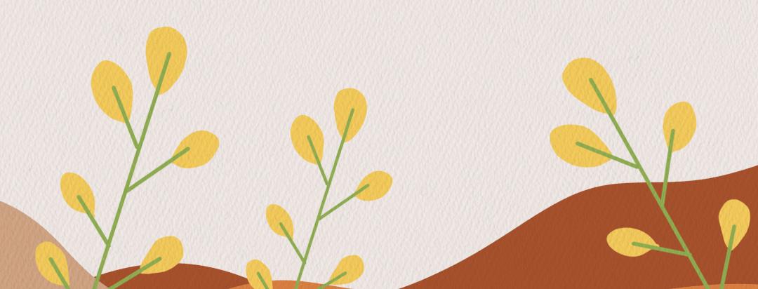 车牌号字母和数字的信息,车牌号就是人的象征