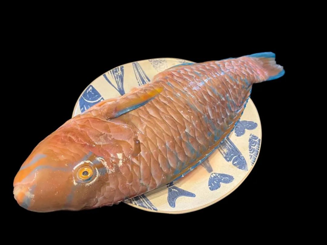 潮爸家7月2日午餐记录,湛江野生鹦鹉鱼,与苏眉青衣齐名海中珍品