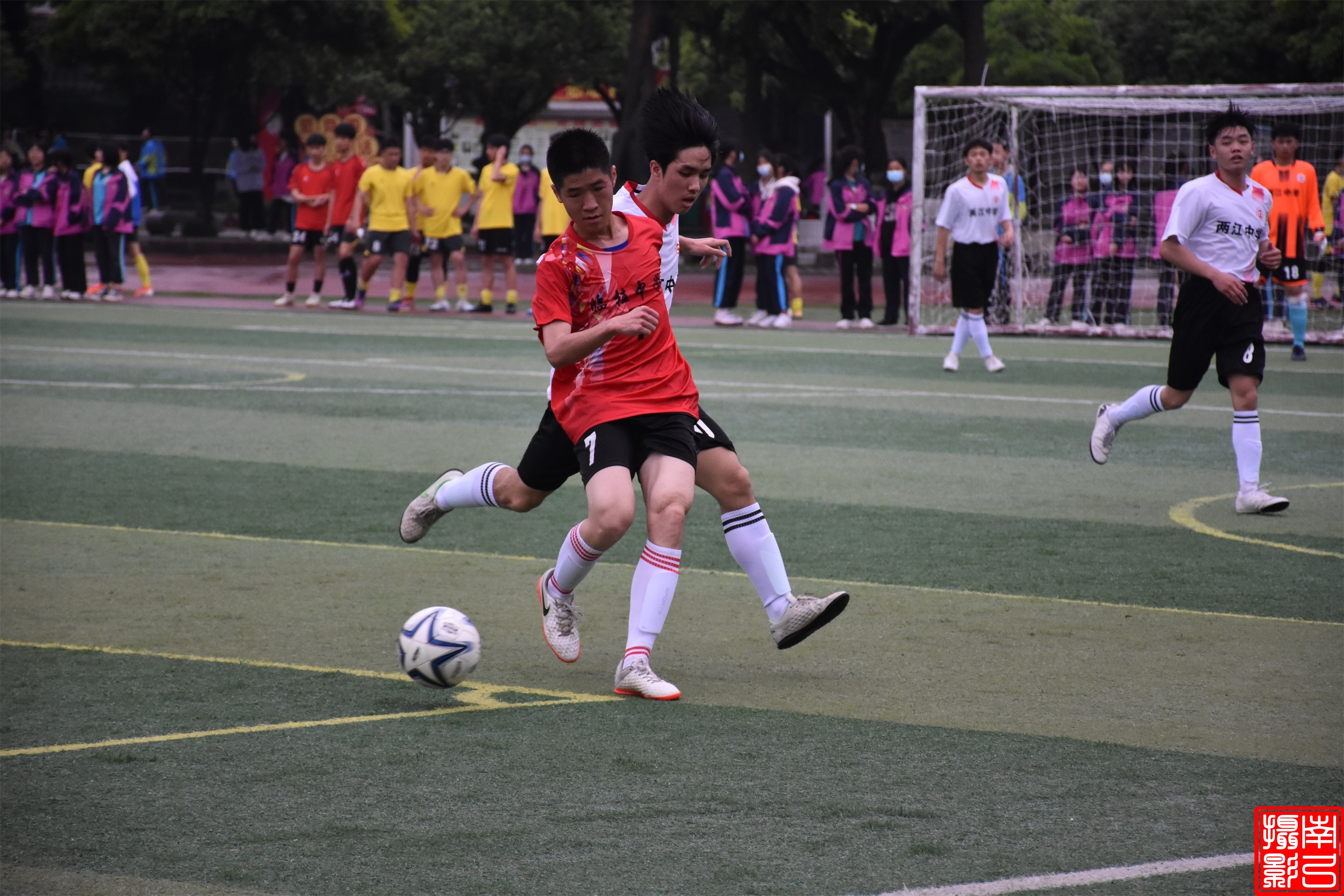 临桂区幼儿园,临桂区金水湾幼儿园