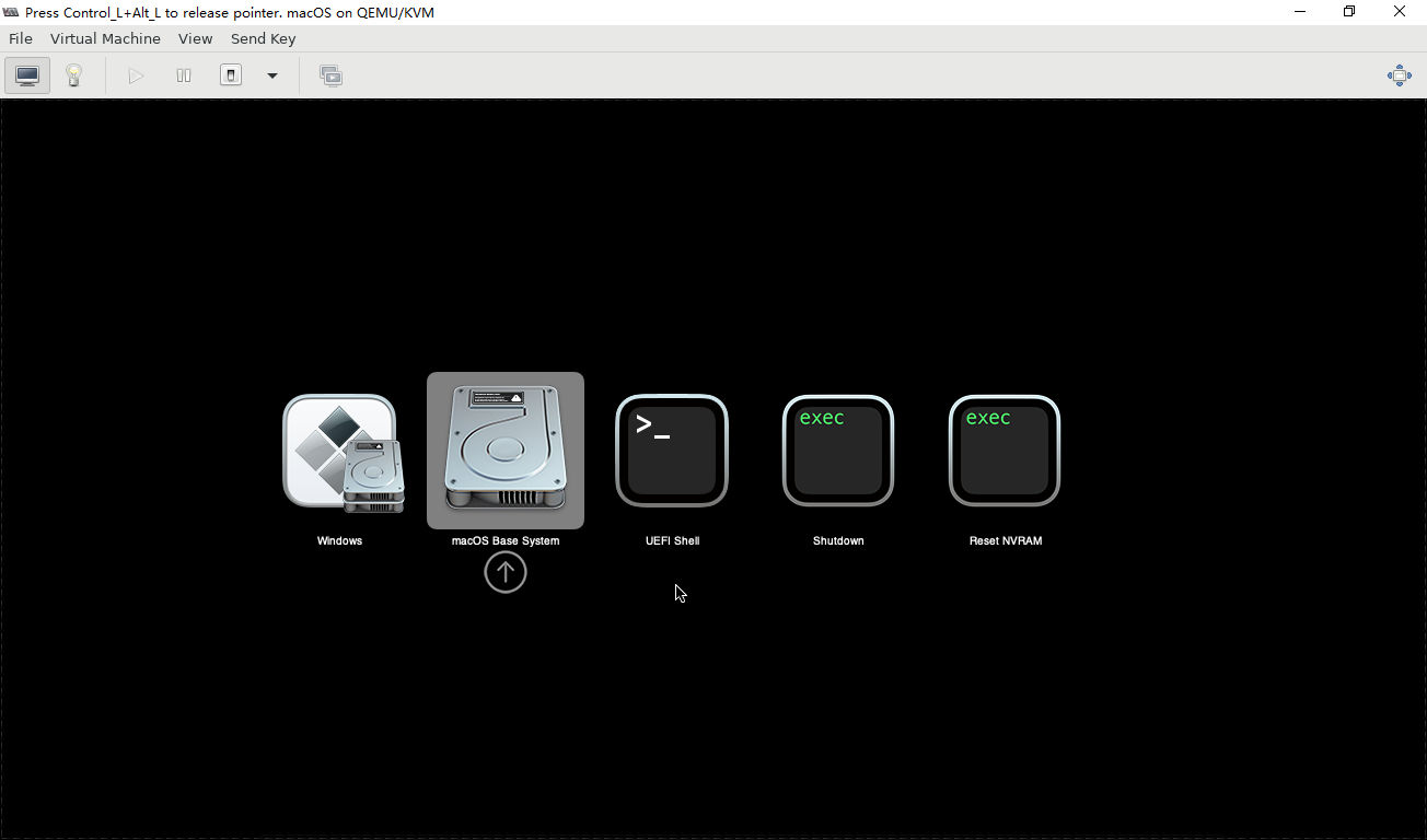 kvm支持win和mac系统吗,kvm安装系统