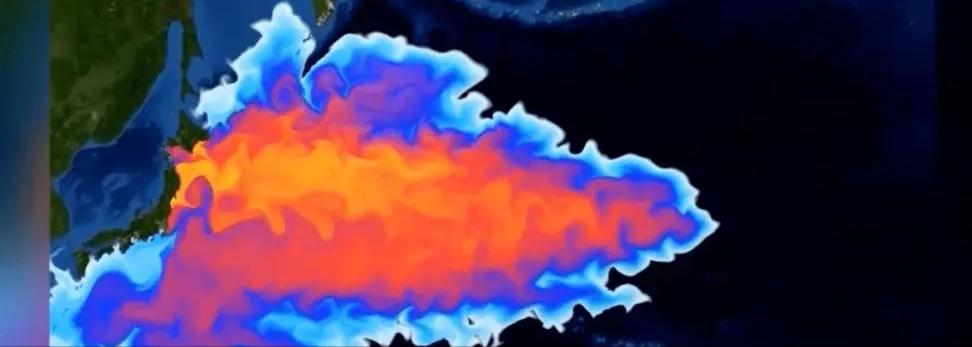 两种环境富集方法对石斑鱼幼鱼认知能力和生长性能的影响