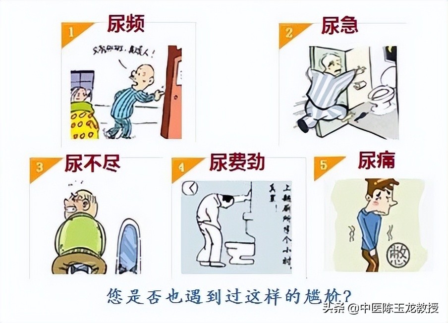 八正散加桂枝茯苓丸治疗前列腺炎,八正丸能治湿热瘀阻型前列腺炎