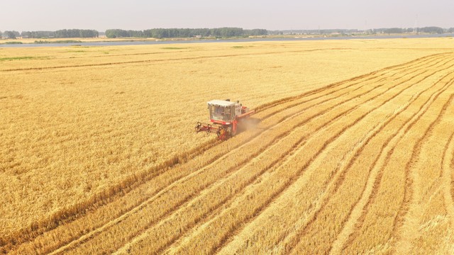 为什么我们的油价比国外贵,为什么食用油这段时间价格不稳定