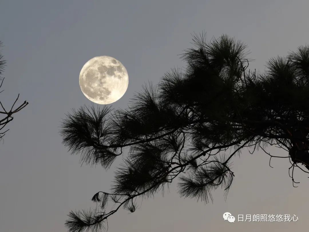 沧浪之水兮可以濯吾缨,沧浪之水浊兮可以濯我足