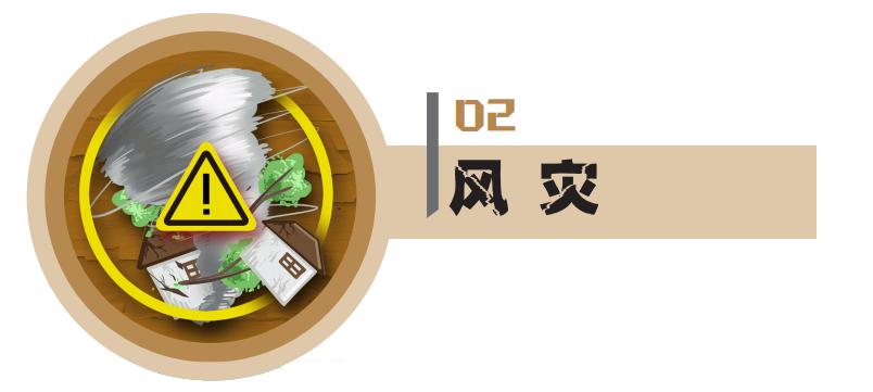 首发安行者|生活中的灾害（二）——风灾