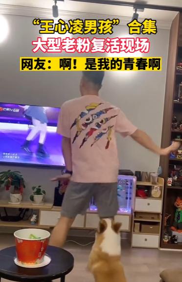 王心凌芒果热度表,王心凌带动芒果股市