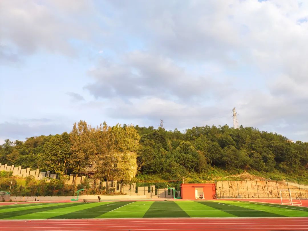 人造草案例|贵州景怡苑东区中小学