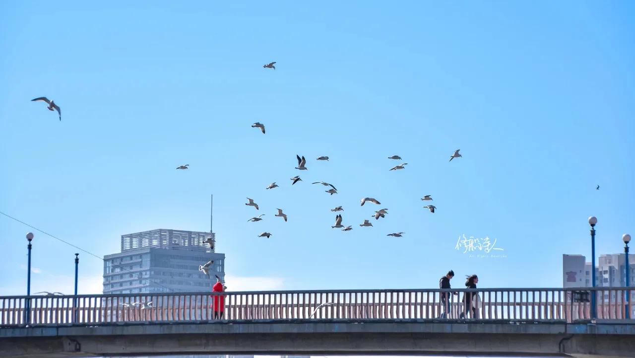 夏季旅游避暑旅行攻略大全,8月避暑旅游最佳地方国内3-5天