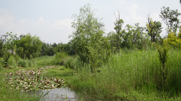西昌邛海环湖自驾游攻略,川西旅游攻略自驾游西昌出发