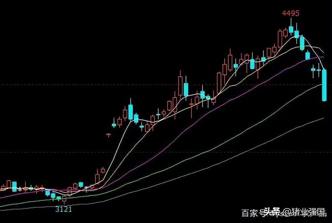 中国饲料工业信息网豆粕今天价格,今日豆粕饲料行情