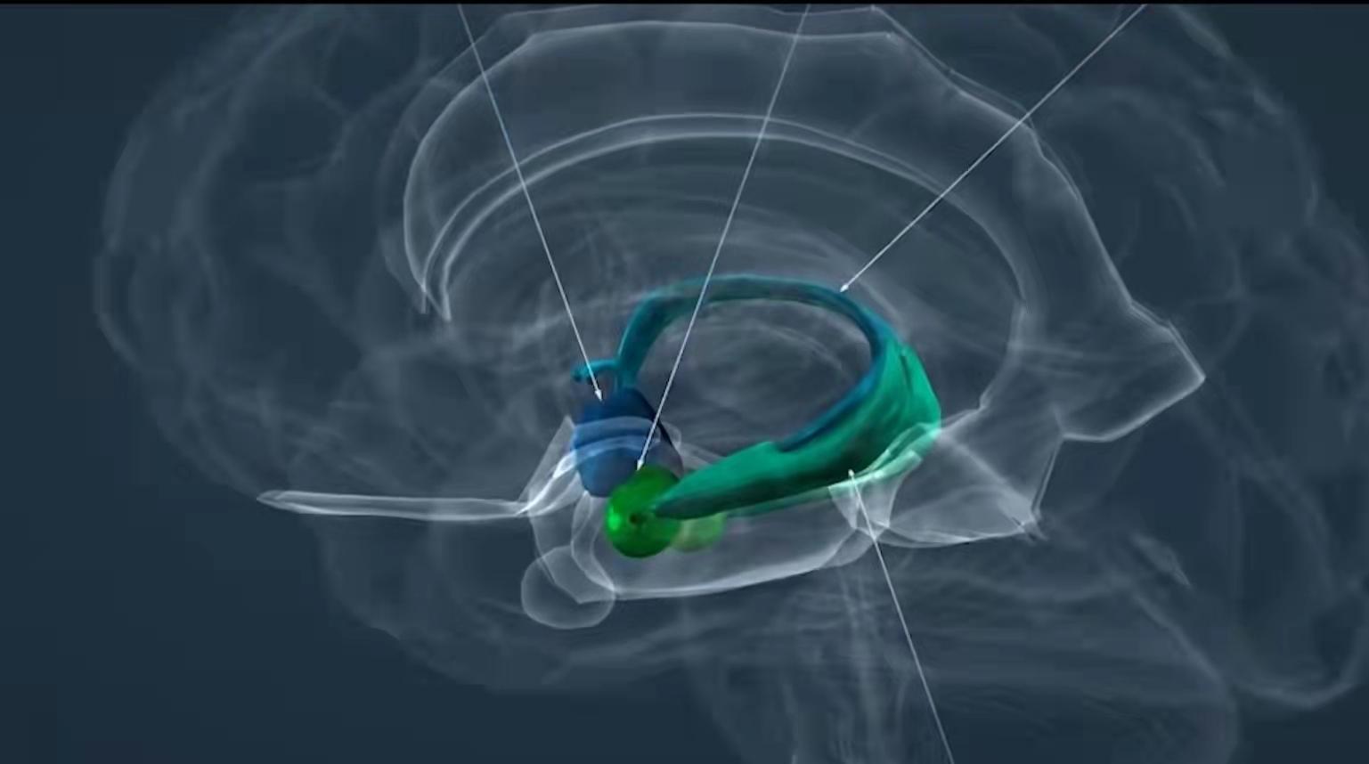 袁文魁大脑记忆训练法,怎样拥有超强记忆力