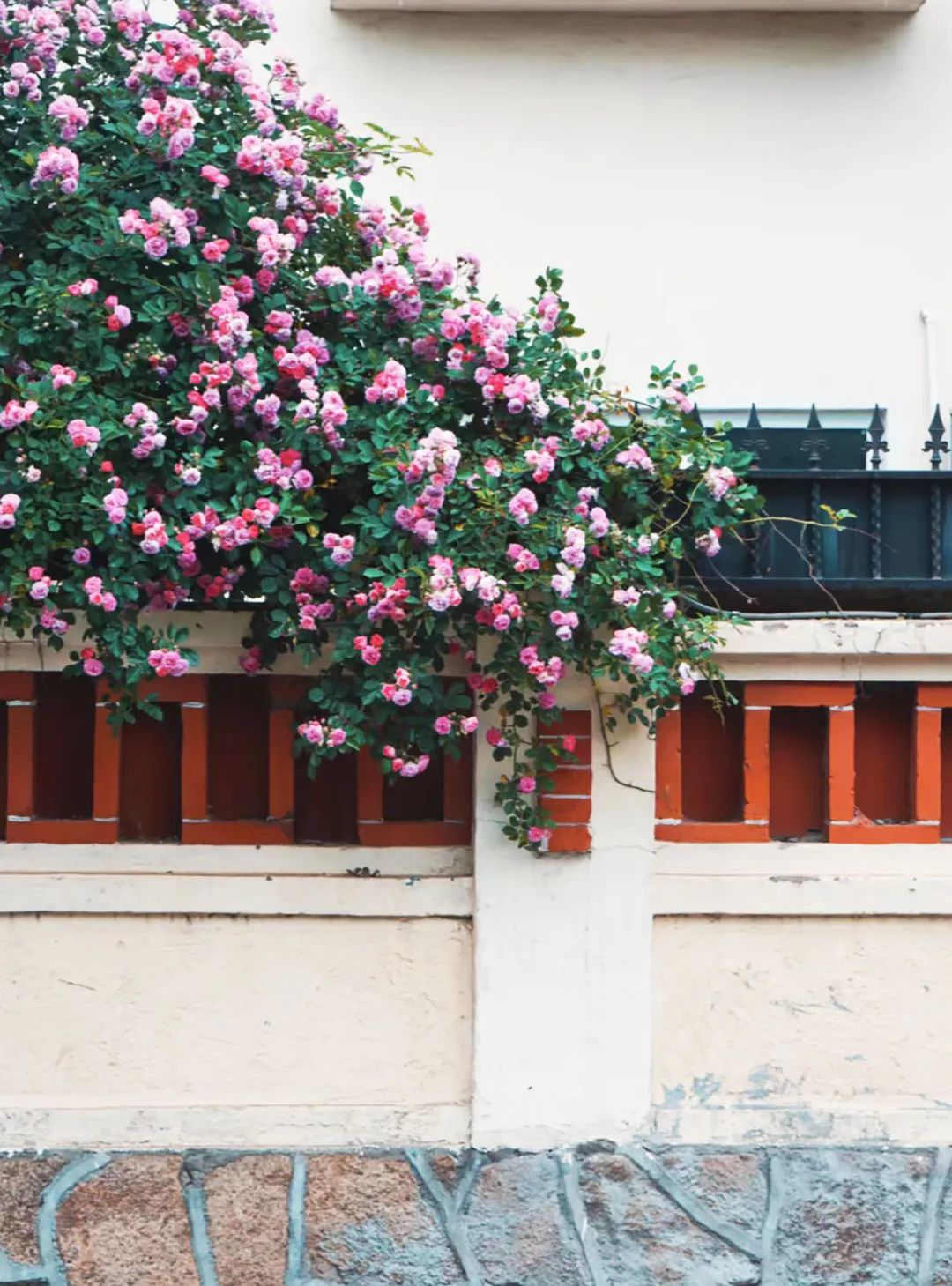 品读青岛,品读文人墨客诗句