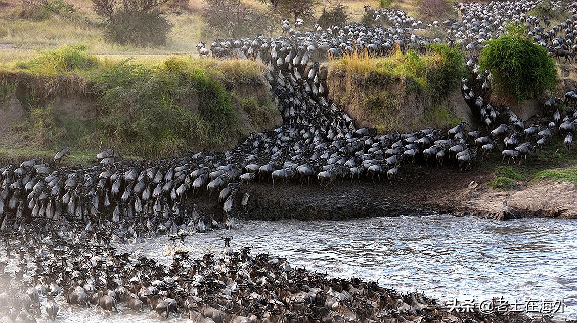 坦桑尼亚有什么特别的,坦桑尼亚是最不发达国家吗