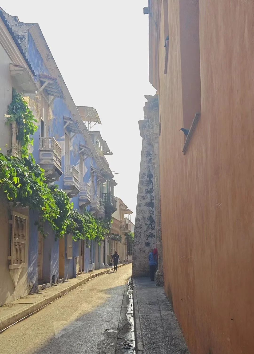 发现不一样的世界作文,发现不一样的世界800字