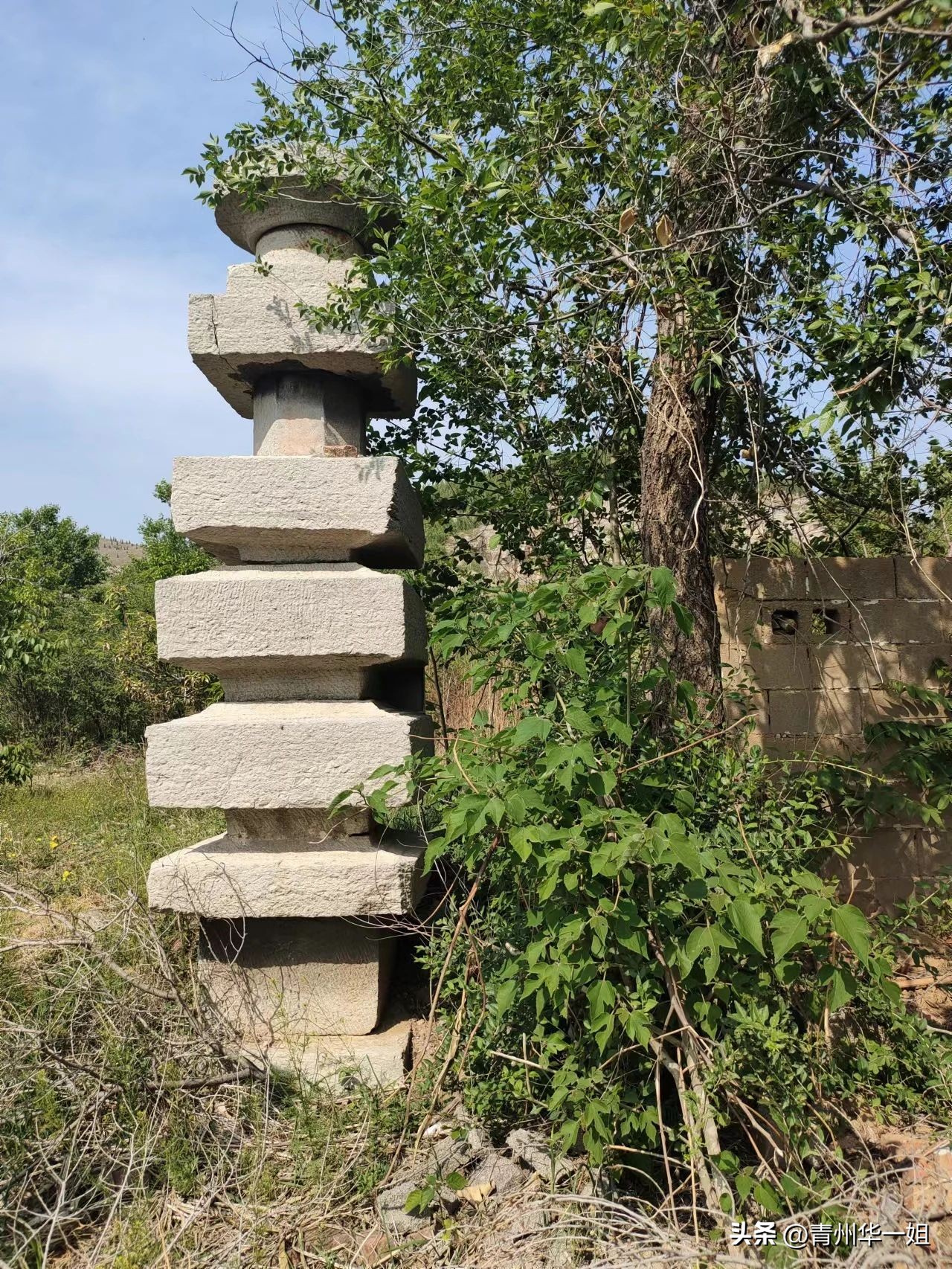 陈家车马村历史遗迹众多,青州桃花塔