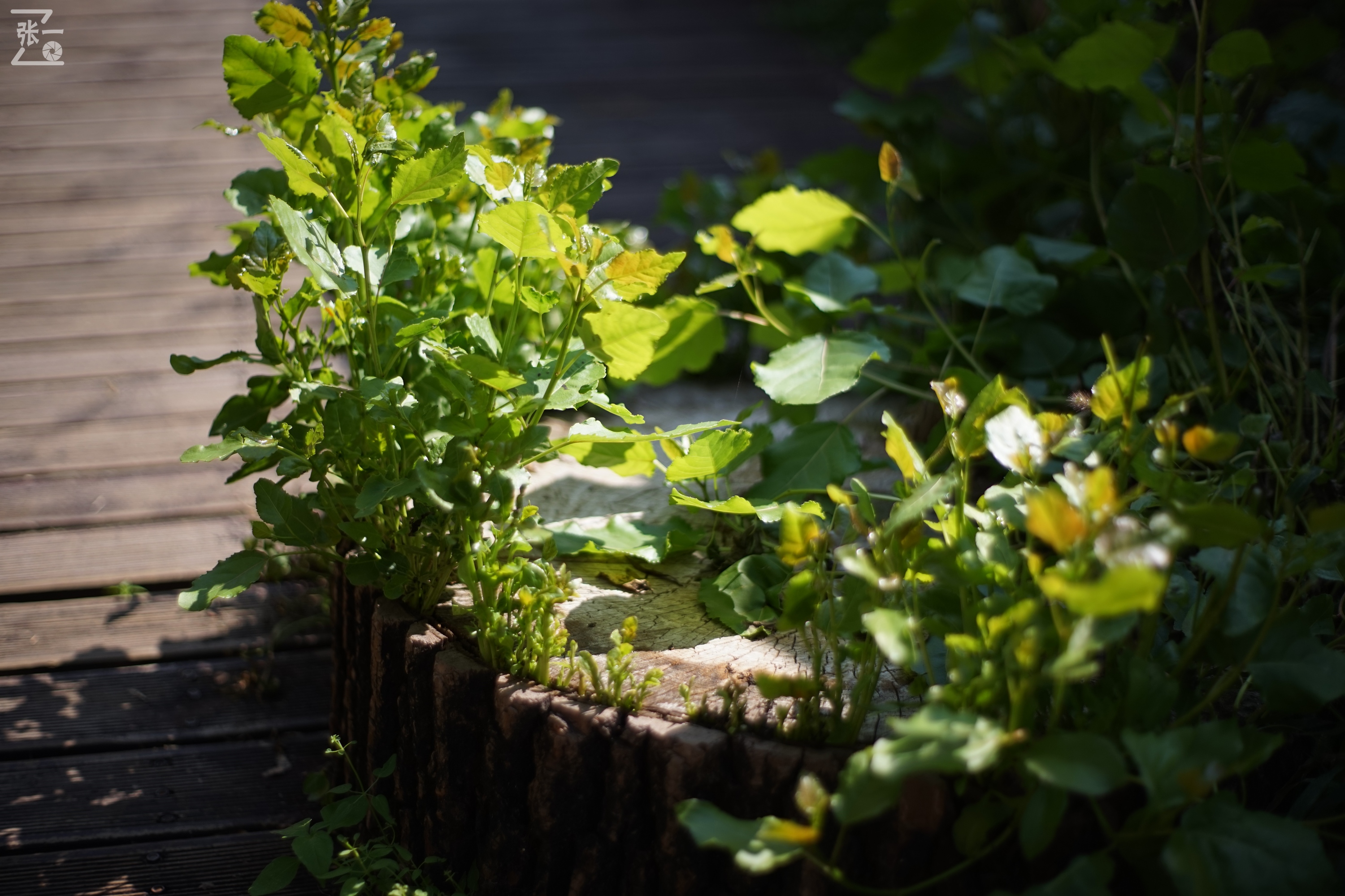 老镜头实拍,老镜头拍北京