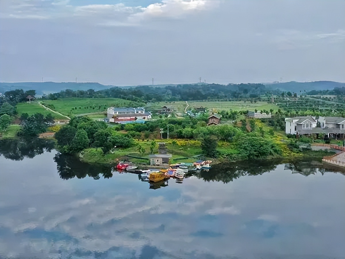 井冈蜜柚怎么种植,吉安县井冈蜜柚基地
