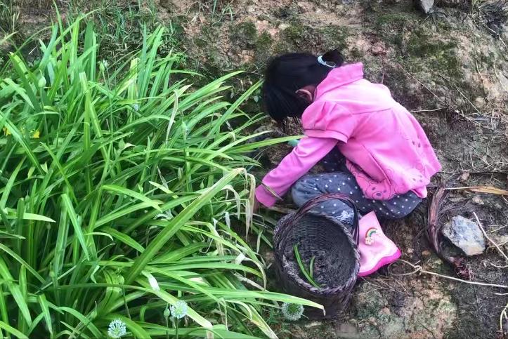 拾荒的老人捡到一个弃婴抚养22年,老人捡到弃婴的下场