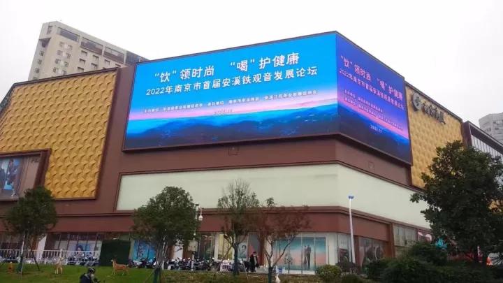 2022年南京市首届安溪铁观音发展论坛顺利召开