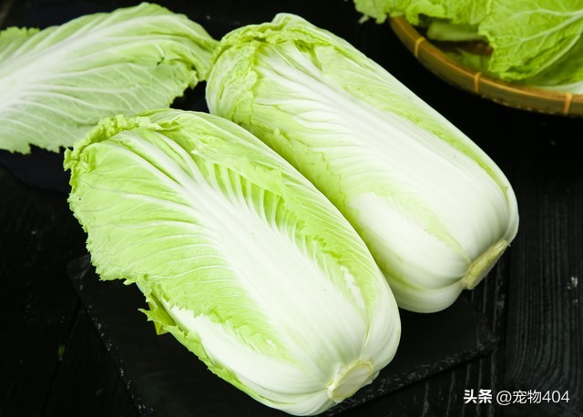 金毛在家里养总掉毛有什么好办法,穷人养3个多月的金毛最好的方法