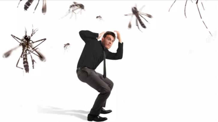 易招蚊子是什么原因,来例假更容易招蚊子