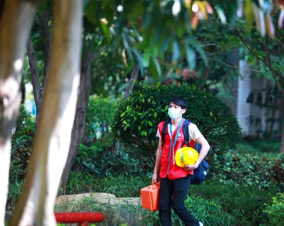 悬念揭晓在即,悬念揭晓视频