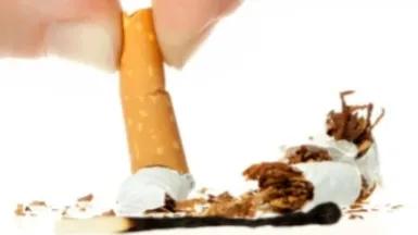 香港国宾香烟,香港香烟和大陆烟口感区别